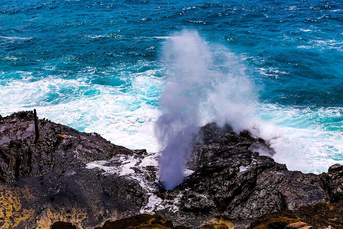 Oahu's Ultimate Grand Circle Island Tour with Snorkeling and More - Dole Plantation and Green World Coffee: Quick Hits of Hawaii Classics