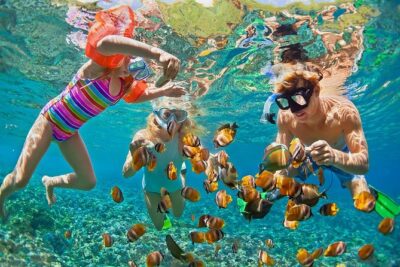 Oahu's Ultimate Tour: Dole, Turtle Snorkel, Pali Lookout & More - Getting picked up in Waikiki and living on the bus rhythm