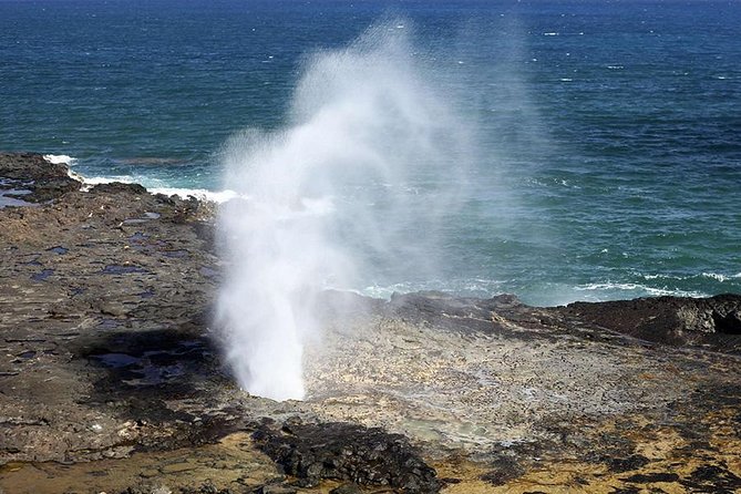 Oahu's Ultimate Tour: Dole, Turtle Snorkel, Pali Lookout & More - Makapu’u coastline views and the Nuuanu Pali Lookout you’ll remember