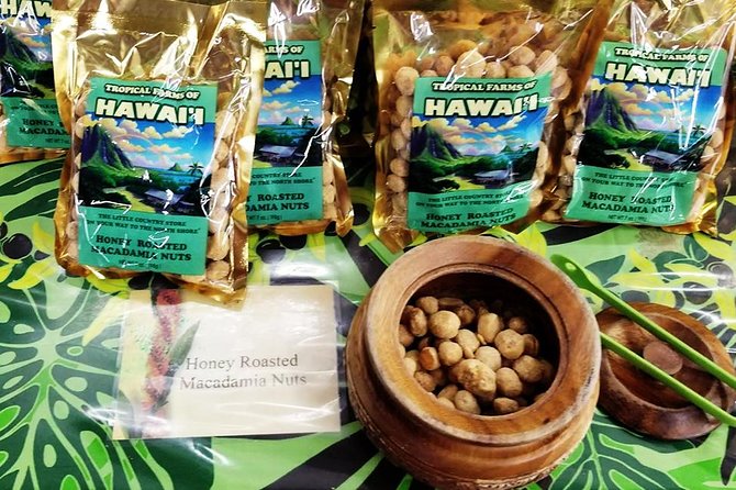Oahu's Ultimate Tour: Dole, Turtle Snorkel, Pali Lookout & More - Byodo-In Temple pass-by and the North Shore contrast