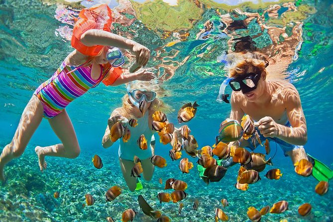 Oahu's Ultimate Tour: Dole, Turtle Snorkel, Pali Lookout & More - Getting picked up in Waikiki and living on the bus rhythm