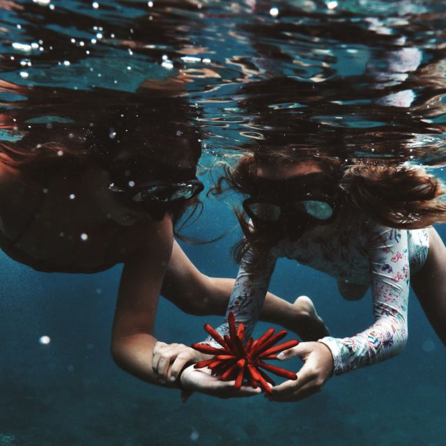 Oahu: Turtle Canyon Snorkeling Boat Tour - Quick hits before you go