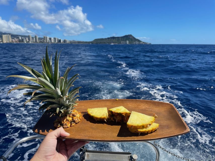 Oahu: Turtle Canyon Snorkeling Boat Tour - The in-water rhythm: what the two hours usually feel like