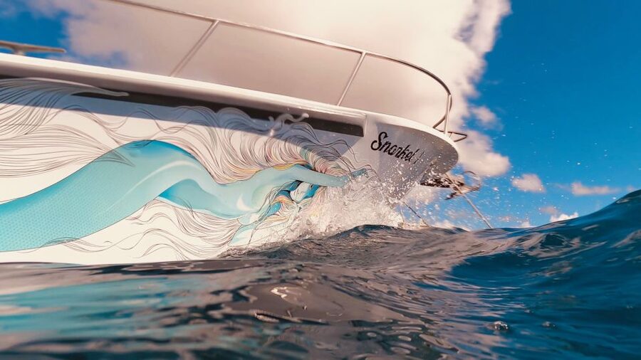 Oahu: Turtle Canyon Snorkeling Boat Tour - Price and value: is $85 for 2 hours fair?