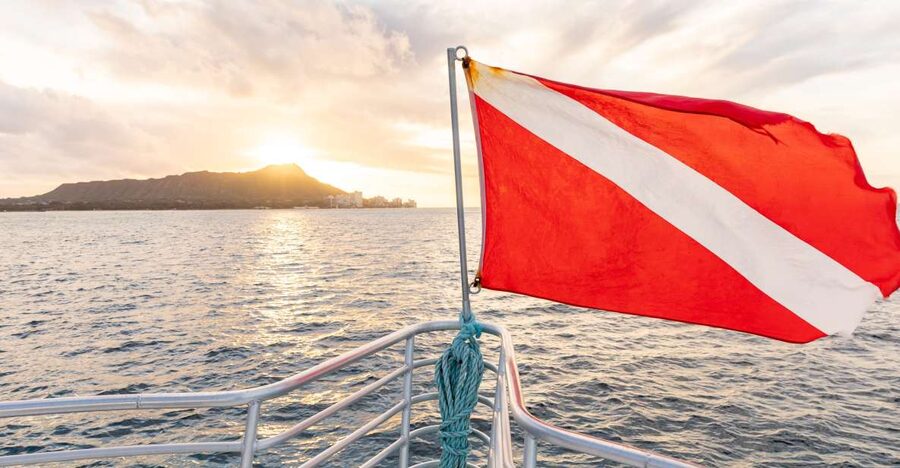 Oahu: Waikiki Turtle Canyons Cruise and Snorkel Excursion - Key Points Before You Go