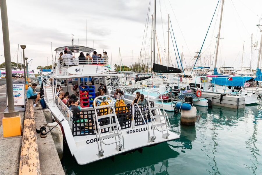 Oahu: Waikiki Turtle Canyons Cruise and Snorkel Excursion - Guide Personality: Small Details That Matter
