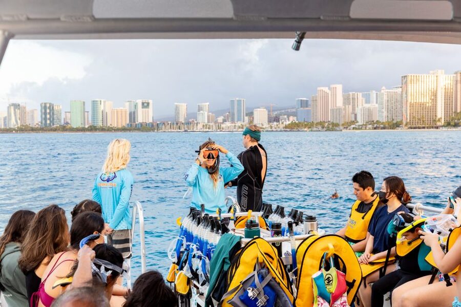 Oahu: Waikiki Turtle Canyons Cruise and Snorkel Excursion - Snorkeling Time With Sea Turtles: How It Works Under the Surface