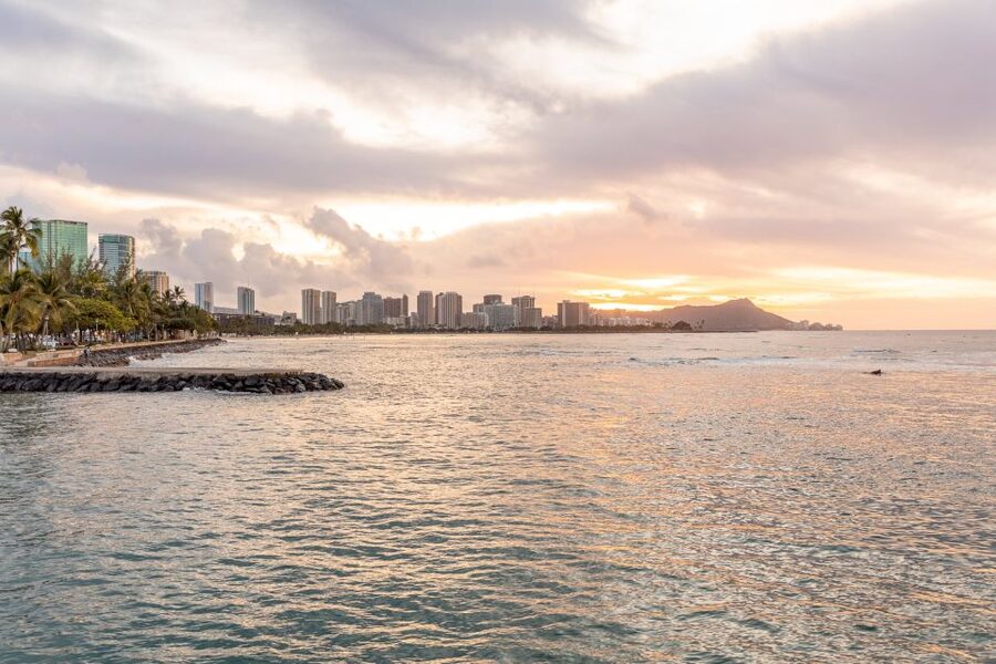 Oahu: Waikiki Turtle Canyons Cruise and Snorkel Excursion - Safety Feel: Why This One Works for First-Timers