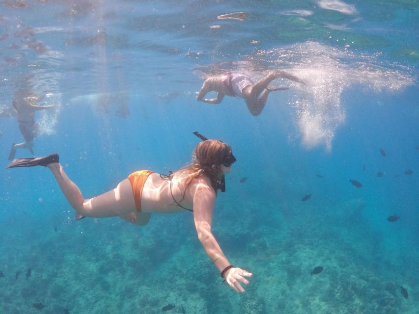 Oahu: Waikiki Turtle Snorkeling Adventure Cruise - Pink Sails Waikiki Catamaran: What You’re Actually Doing for 2 Hours