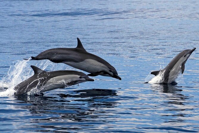 Ocean Eco Adventure with Marine Biologist Guides - Huatulco National Park bays: why the cruise part matters