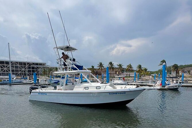 Ocean Eco Adventure with Marine Biologist Guides - Meeting point and timing: get to Chahué marina by 11:00 am