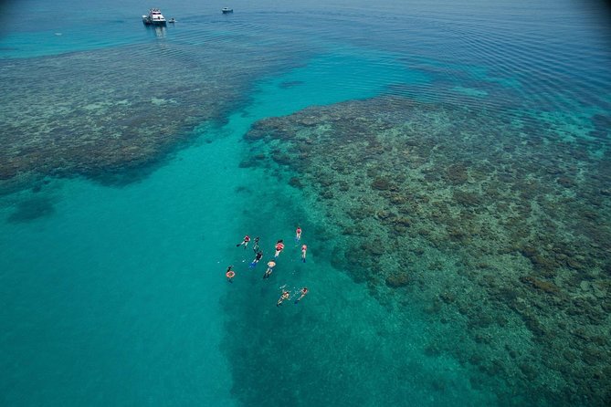 Ocean Freedom Great Barrier Reef Luxury Snorkel and Dive Cruise - Key highlights worth planning for