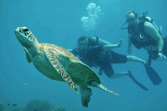 Ocean Freedom Great Barrier Reef Luxury Snorkel and Dive Cruise - Gear, wetsuits, and comfort aboard Ocean Freedom