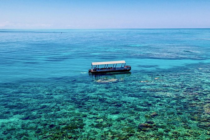 Ocean Freedom Great Barrier Reef Luxury Snorkel and Dive Cruise - The food isn’t an afterthought here