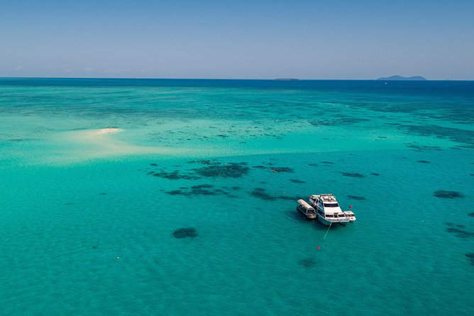 Ocean Freedom Great Barrier Reef Luxury Snorkel and Dive Cruise - Price and value: what $181.28 buys you in the Cairns reef market