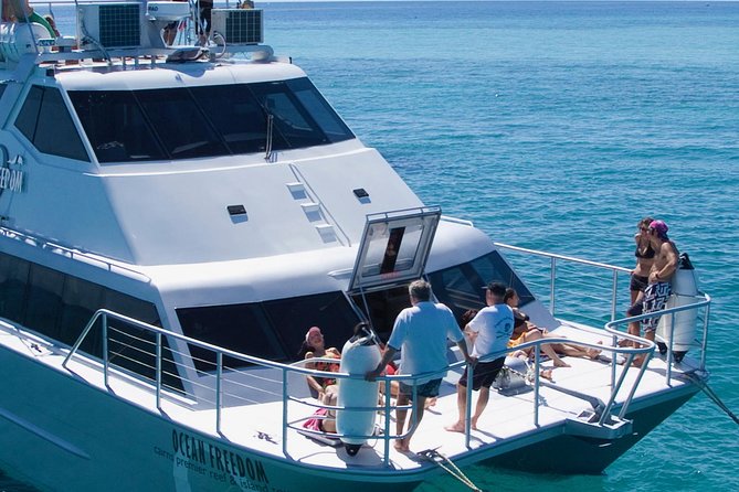 Ocean Freedom Great Barrier Reef Luxury Snorkel and Dive Cruise - Weather, visibility, and motion: how to set expectations