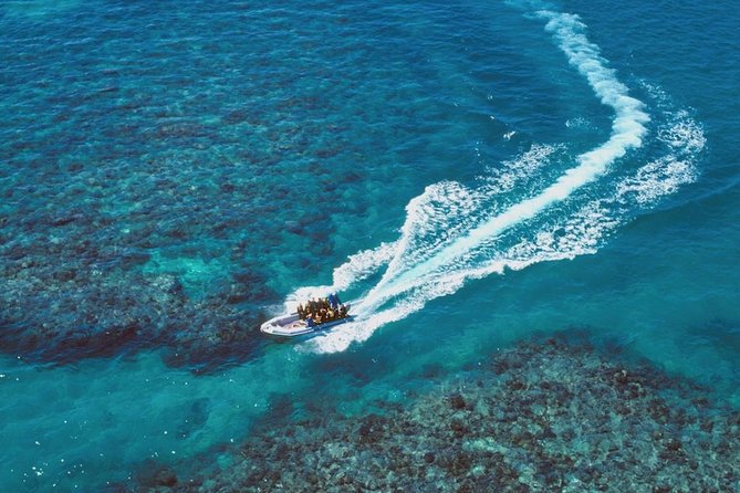 Ocean Freedom Great Barrier Reef Luxury Snorkel and Dive Cruise - Who this tour fits best