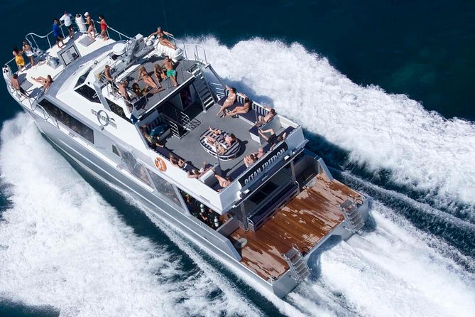 Ocean Freedom Great Barrier Reef Luxury Snorkel and Dive Cruise - What you’re really buying: guided snorkeling that keeps you safe and seeing more