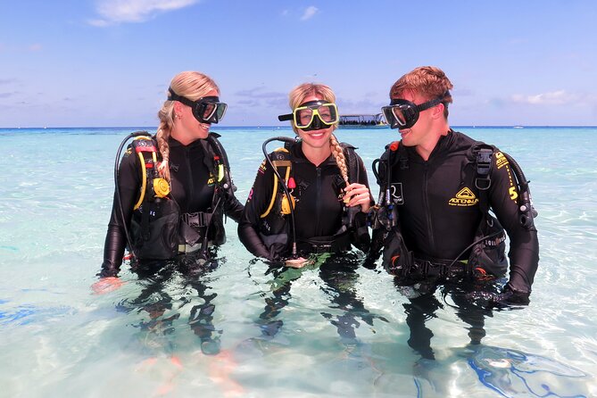 Ocean Spirit Sail to Michaelmas Cay Snorkel or Dive, from Cairns - Snorkelling What’s Actually There: Fish, Clams, Turtles, and Coral Gardens