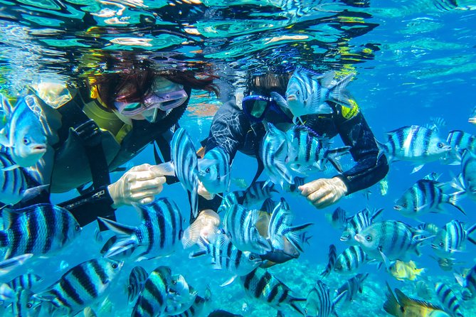 [Okinawa Blue Cave] Snorkeling with Private Guide+ Free Photos - A private guide who talks you through the ecosystem