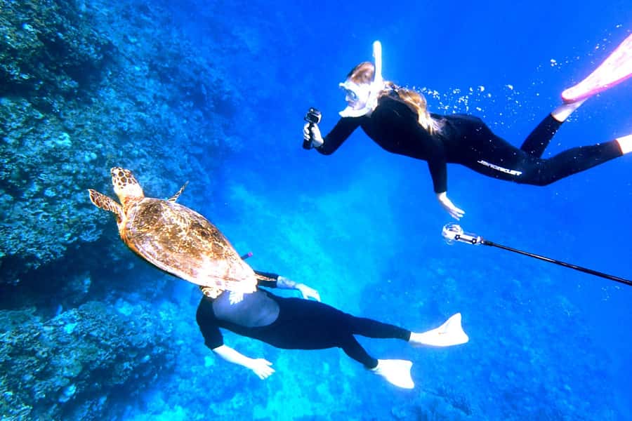 Okinawa: From Naha: Kerama Islands 1-day snorkeling tour - Lunch reality: plan to bring your own