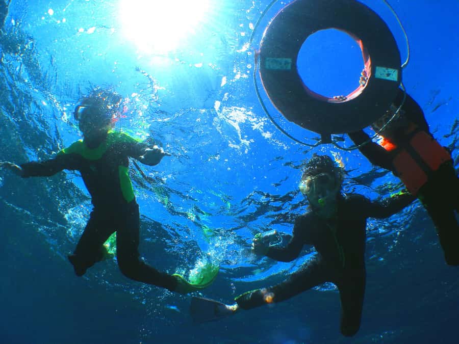Okinawa: From Naha: Kerama Islands 1-day snorkeling tour - Who should book this Kerama day tour, and who should skip it