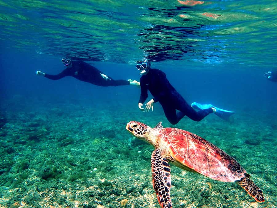 Okinawa: From Naha: Kerama Islands 1-day snorkeling tour - From Naha meeting point to the islands: the boat day setup