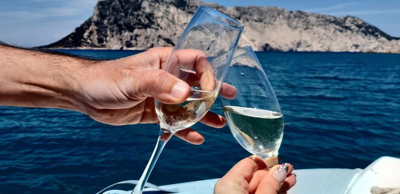 Olbia: Boat tour to watch Dolphins and snorkeling - The 7-meter Pholas ride: Capo Figari views with real speed