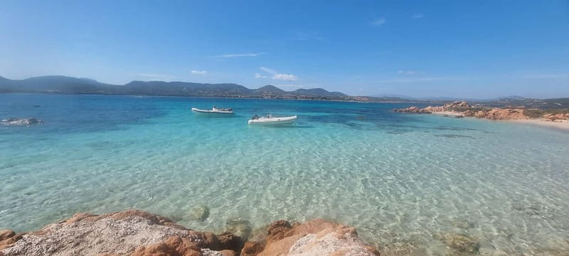 Olbia: Dolphin Watching & Swim and snorkel in Capo Figari - Key highlights you’ll feel on the water
