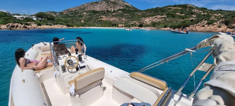 Olbia: Dolphin Watching & Swim and snorkel in Capo Figari - Dolphin watching near Figarolo Island: what you’re really signing up for