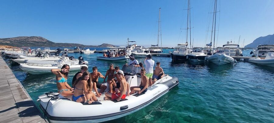 Olbia: Dolphin Watching & Swim and snorkel in Capo Figari - The dolphin watching stop: how it feels when they show up