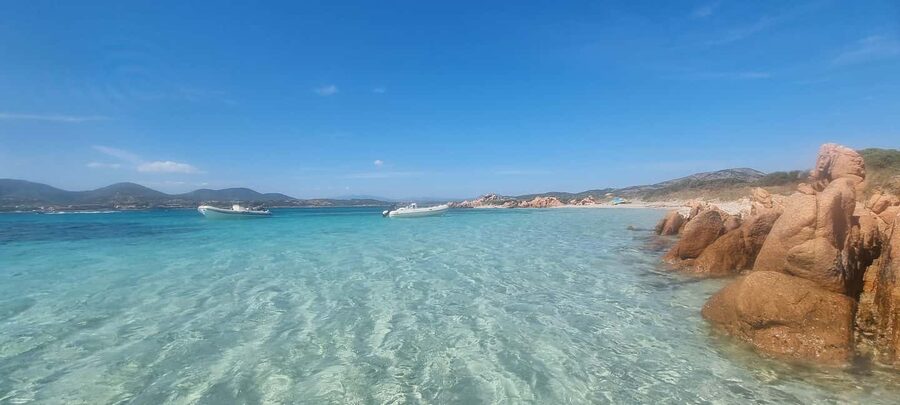 Olbia: Dolphin Watching & Swim and snorkel in Capo Figari - Onboard comforts and extras: soft drinks, guide talks, and what alcohol costs