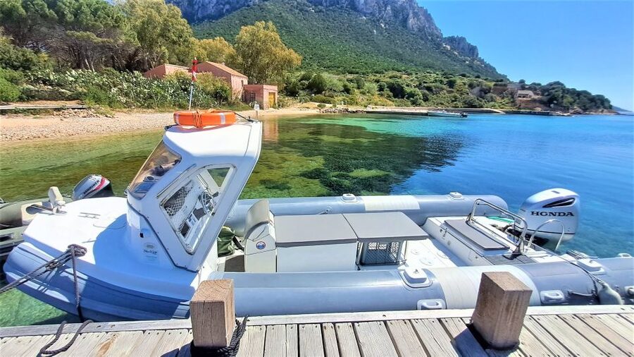 Olbia: Dolphin Watching Tour with Figarolo Island Snorkeling - Tips to make your trip smoother