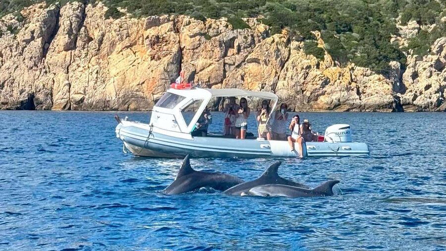 Olbia: Dolphin Watching Tour with Figarolo Island Snorkeling - Dolphin Watching From Olbia: Why this route feels special