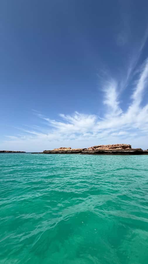 Oman: Daymaniyat Islands Visit and Snorkeling - The 45-Minute Cruise: Wildlife Chances While You’re En Route