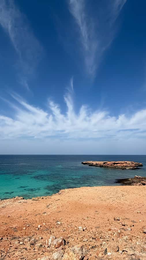 Oman: Daymaniyat Islands Visit and Snorkeling - Second Session: Winter Beach Time vs Summer Two-Snorkel Plan