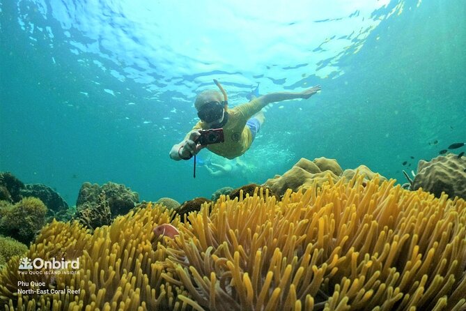 OnBird - PRIVATE ADVENTURE SNORKELING - explore Half-moon reef & Coral Mountain - Key highlights