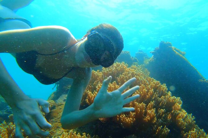 OnBird - PRIVATE ADVENTURE SNORKELING - explore Half-moon reef & Coral Mountain - Coral Mountain: when the guide’s reef talk clicks