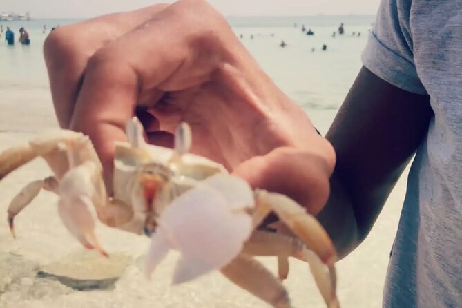 Orange Bay Island Deluxe Snorkeling, Water Sports from Hurghada - Who This Trip Suits Best (and Who Might Prefer Something Else)