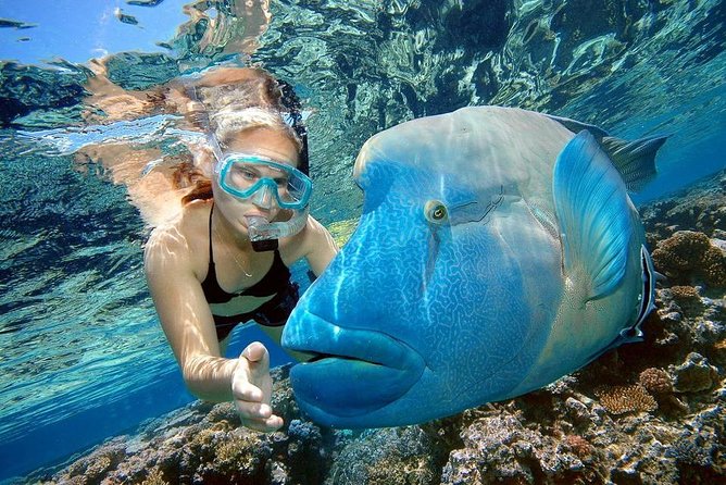 Orange Bay Island Snorkeling Trip With Water Sports - Hurghada - Who this trip suits best (and who should reconsider)