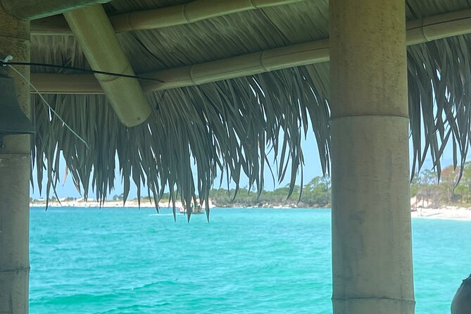 Original CRUISIN TIKIS 3 Hour Cruise, Snorkel, Swim/float Sandbar - Shell Island, Dolphins, and What Weather Changes