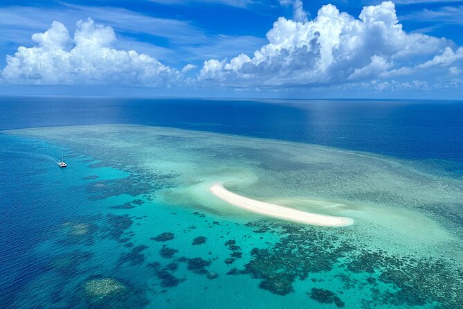 Outer Reef Mackay Cay Sail & Snorkel Adventure from Port Douglas - Snorkelling on the reef with a marine biologist onboard