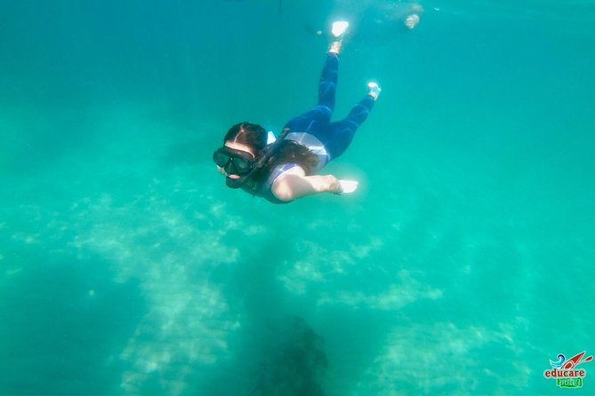 Paddle Surf Route Cliffs Nerja and Cascada de Maro + Snorkel - Who This Paddle Surf Route Fits Best