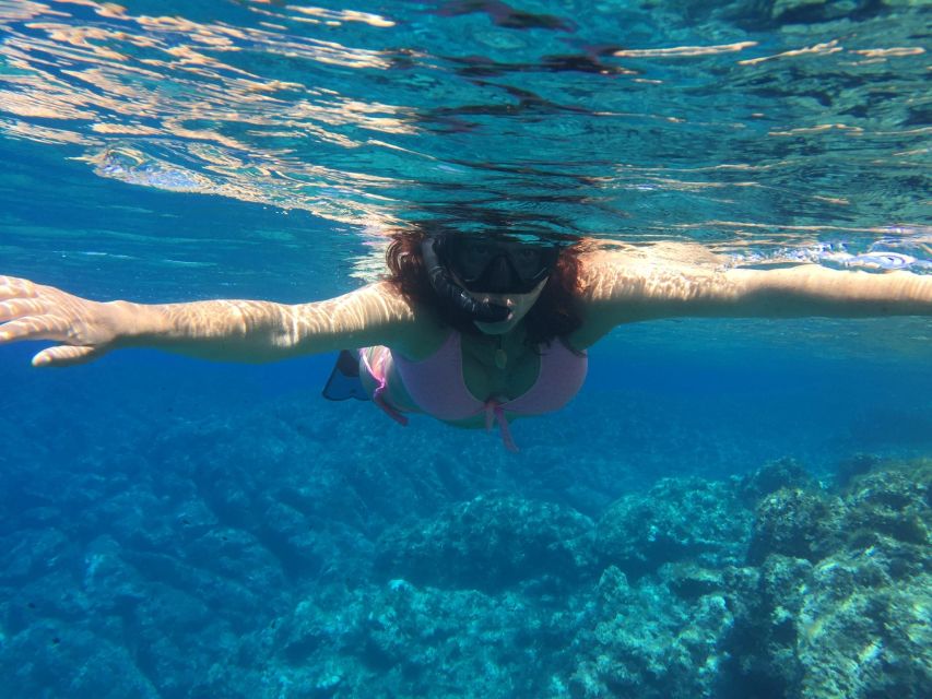 Palermo: Full-Day Snorkeling Boat Tour with Lunch and Wine - Palermo Marine Life, Guided by Giuseppe and Michele