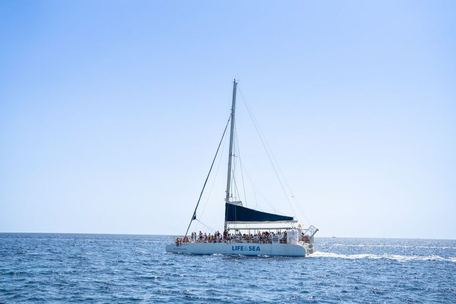 Palma: Catamaran Cruise with Swimming and Snorkelling - Palma Catamaran Cruise: The Real Point Is Time on Water