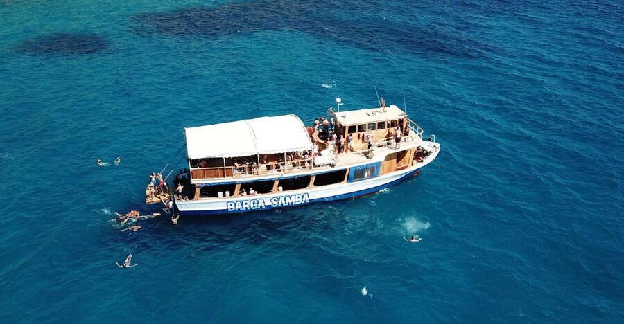 Palma de Mallorca: Palma Bay Boat Tour with Snorkeling - Quick Hits Before You Go