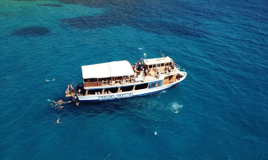 Palma de Mallorca: Palma Bay Boat Tour with Snorkeling - The Anchor Stop for Snorkeling and Swimming in Palma Bay