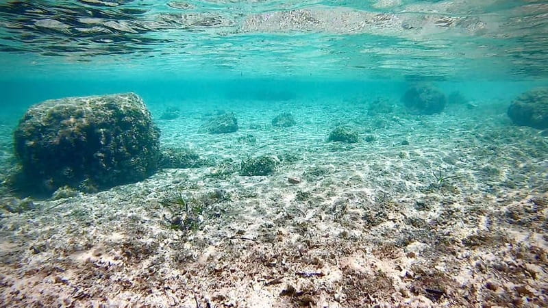 Palma de Mallorca: Private Boat Tour with Snorkel and Paddle - Should You Book This Private Boat Tour From Palma?