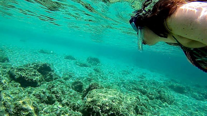 Palma de Mallorca: Private Boat Tour with Snorkel and Paddle - Practical Logistics That Make or Break the Morning