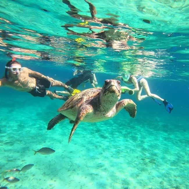 Paphos: Turtle-Watching Snorkeling Sea Scooter Trip - The Safety Briefing: How Guides Keep It Relaxed (Not Scary)